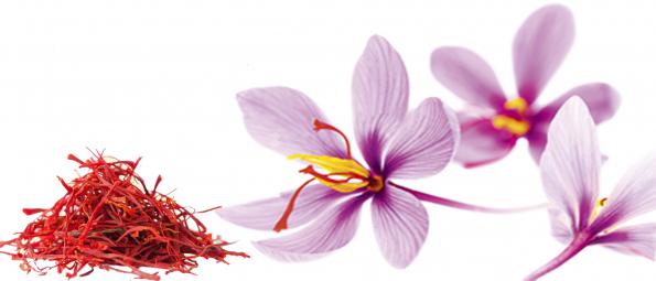 مهمترین دلایل مصرف زعفران